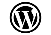 WordPress repair, secure, upgrade. 