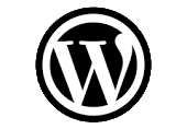 WordPress repair, secure, upgrade.